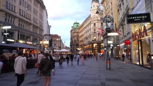 Wiedeń Austria Lipca 2023 Stare Miasto Stephansplatz Spacer Turystyczny — Wideo stockowe
