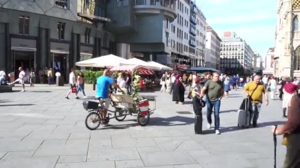 ウィーン オーストリア 2023 古い町 スティーブンスプラッツ 観光ウォーキング — ストック動画