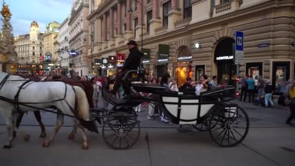 Відень Австрія Липня 2023 Старе Місто Стівенсплац Туристична Прогулянка — стокове відео