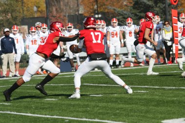 Washington Üniversitesi St. Louis Kampüsü 'nde Wash U (Ayılar), Carroll Üniversitesi' ne karşı. Wash U 35-23 kazandı. Francis Olympic Field, Amerikalı futbolcu..