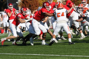 Washington Üniversitesi St. Louis Kampüsü 'nde Wash U (Ayılar), Carroll Üniversitesi' ne karşı. Wash U 35-23 kazandı. Francis Olympic Field, Amerikalı futbolcu..