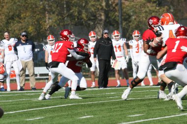 Bir futbol sahasındaki oyuncular, Wash U (Bears) - Carroll Üniversitesi (Pioneers) - Son Gün 2023. Washington Üniversitesi St. Louis Kampüsü 'nde oynanan maç 35-23 kazandı..