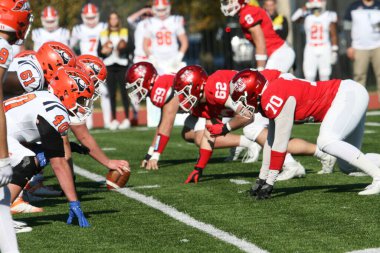 Wash U (Bears) - Francis Olympic Field, St. Louis, Missouri 'de Carroll Üniversitesi (Pioneers) maçı. 2023 yılının son gününde 35-23 kazanıyor. Amerikalı futbolcu / oyuncular