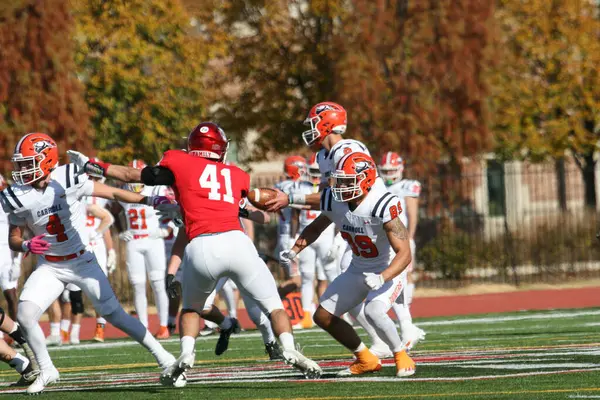 Wash U (Bears) - Francis Olympic Field, St. Louis, Missouri 'de Carroll Üniversitesi (Pioneers) maçı. 2023 yılının son gününde 35-23 kazanıyor. Amerikalı futbolcu / oyuncular