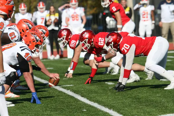 Wash U (Bears) - Francis Olympic Field, St. Louis, Missouri 'de Carroll Üniversitesi (Pioneers) maçı. 2023 yılının son gününde 35-23 kazanıyor. Amerikalı futbolcu / oyuncular