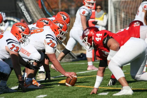 Wash U (Bears) - Francis Olympic Field, St. Louis, Missouri 'de Carroll Üniversitesi (Pioneers) maçı. 2023 yılının son gününde 35-23 kazanıyor. Amerikalı futbolcu / oyuncular