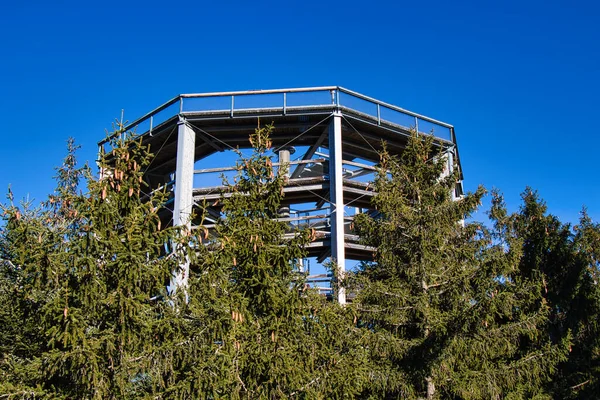 Treetop Walkway in Lipno called Stezka korunami stromu with a slide in the middle of wooden construction.