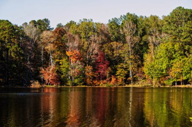 Sonbaharda renkli ağaçlar