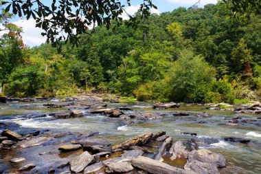 Akıntılı ve kayalıklı nehir 