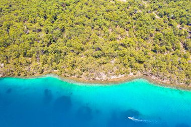 Jelsa Hvar kasabasının manzarası, Hvar körfezi, Hırvatistan manzarası