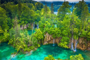 Plitvice Gölleri 'ndeki şelalelerin çarpıcı görüntüsü yoğun yeşillikler ve bu Hırvat ulusal parkının el değmemiş doğasını saran ahşap turistik geçitlerle çevrili.