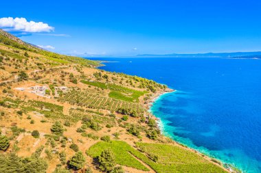 Hırvatistan 'ın Brac Adası' ndaki nefes kesici hava manzarası, Akdeniz yeşili, engebeli arazi ve turkuaz Adriyatik 'e uzanan ikonik Zlatni Rat plajı.
