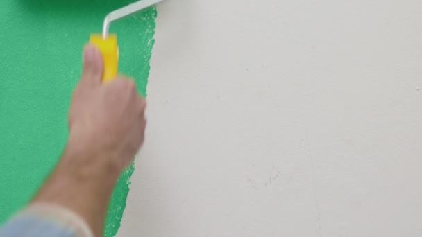 Parede Pintura Trabalhador Masculino Com Tinta Verde Usando Rolo Rolo — Vídeo de Stock