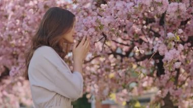 Charming dark haired woman enjoying aroma from spring blossoms on sakura tree. Caucasian young lady turning head and looking at camera with smile.