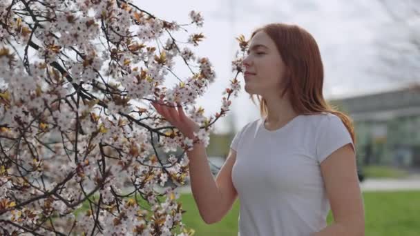 Charmante Jongedame Ruikt Kersenbloeiende Boom Prachtig Park Schattige Positieve Vrouwelijke — Stockvideo