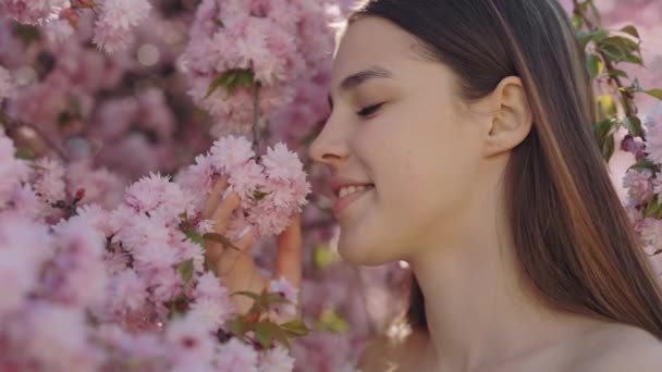 Вид Сбоку Красивую Молодую Женщину Стоящую Рядом Сакурой Наслаждающуюся Цветущим — стоковое видео