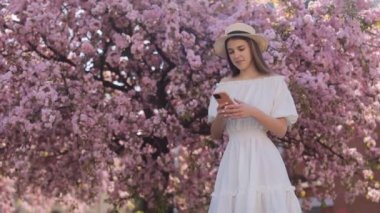 Beautiful Caucasian Brunette In Straw Hat And White Dress Using Modern Smartphone While Standing Outdoors. Background Of Beautiful Flowering On Sakura Tree