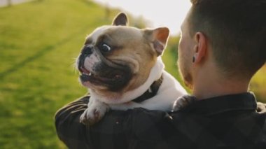 The Back View of the Man is holding Brooklyn Bulldog, ve Pet is looking the Camera Feeling Happy. Halk ve Köpekler Dostluk Konsepti