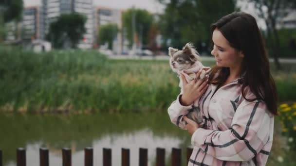 Vue Latérale Belle Femme Sur Une Promenade Avec Petit Chihuahua — Video