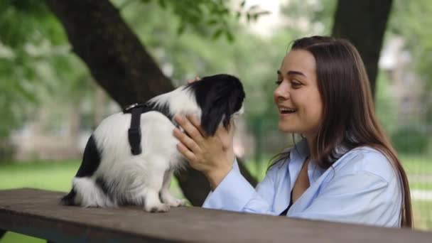 Feliz Caucásico Chica Propietario Parque Jugando Con Japonés Chin Perro — Vídeo de stock