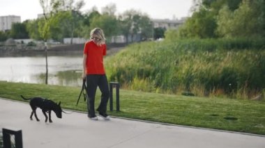 Mini Bull Terrier ve Etrafa Bakınan Beyaz Kadın Yürüyüşü. Kadın, Parktaki Gölün Yakınındaki Köpeği Yürütüyor. Halk ve Köpekler Dostluk Konsepti