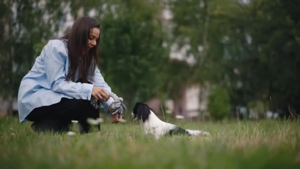 Белая Женщина Владелец Играющая Своей Японской Собакой Подбородком Игрушкой Собак — стоковое видео