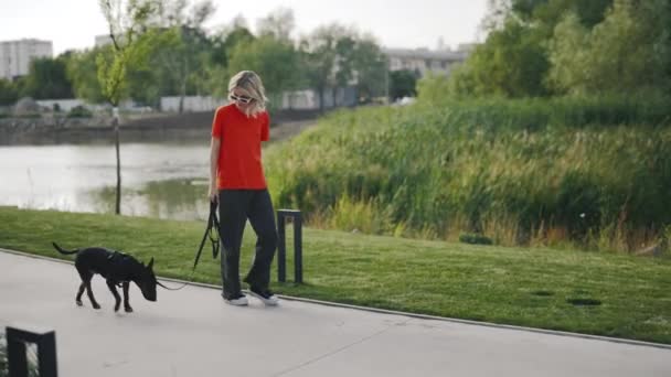 Blanke Stijlvolle Vrouw Een Wandeling Met Een Mini Bull Terrier — Stockvideo