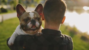 Adamın Brooklyn Bulldog 'unu tutarken arkası görünüyor ve evcil hayvan mutlu bir şekilde kameraya bakıyor. İnsanlar ve köpekler arkadaşlık kavramı