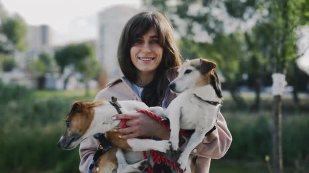 Retrato Hermosa Mujer Llevando Sus Dos Cachorros Jack Russells Mirando — Vídeos de Stock