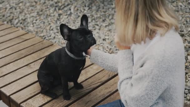 Una Mujer Entrena Bulldog Francés Enseña Cachorro Nuevos Comandos Mientras — Vídeos de Stock