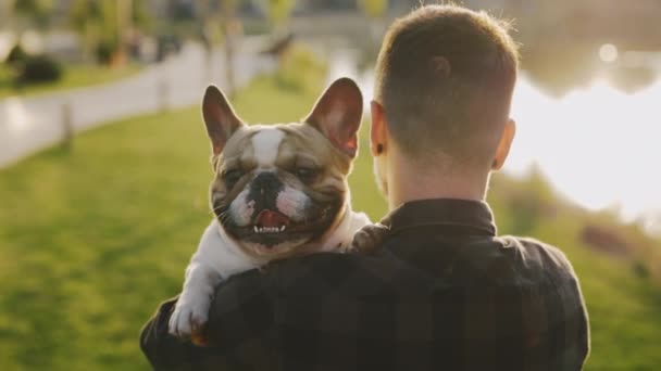 Bagsiden Manden Går Holder Brooklyn Bulldog Kæledyret Ser Kameraet Fældning – Stock-video