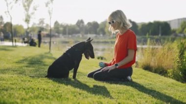 Kız sahibi parkta Mini Bull Terrier ile oynuyor, Kadın Hayvan Eğitmeni Köpekler İçin Topuk Oyuncak Kullanıyor, Köpeği Eğitiyor. İnsanlar ve Köpekler Egzersiz Konsepti