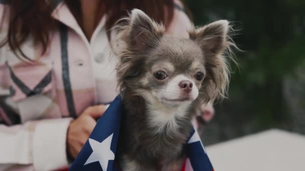 Chihuahua Insvept Usa Flaggan Kvinna Som Håller Honom Stående Utanför — Stockvideo