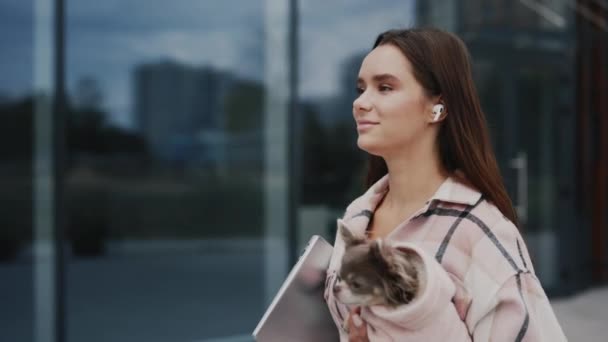 Blanke Vrouw Een Wandeling Met Een Kleine Chihuahua Houdt Hem — Stockvideo