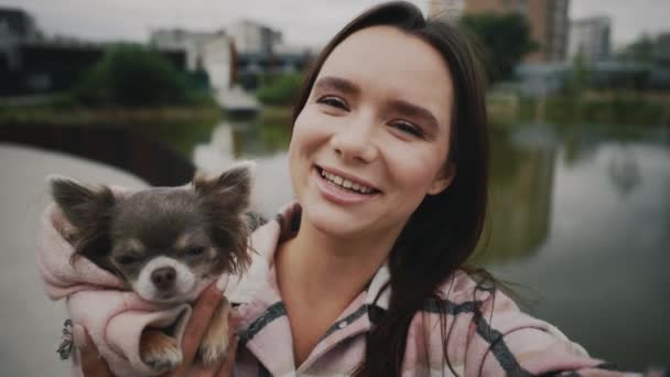 Glückliche Kaukasierin Hält Ihren Chihuahua Der Hand Und Macht Videoanrufe — Stockvideo