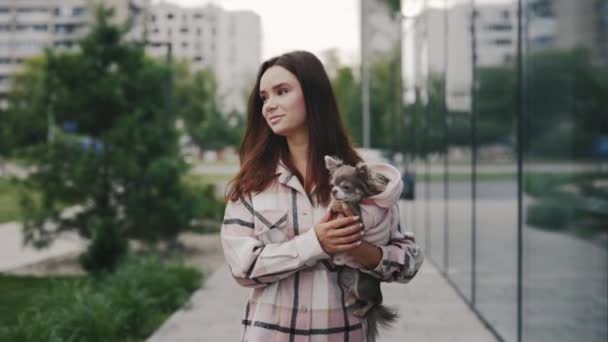 Donna Caucasica Una Passeggiata Con Piccolo Chihuahua Che Tiene Sulle — Video Stock