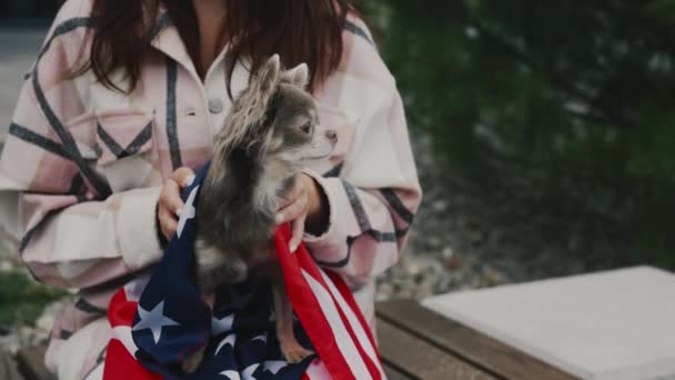 奇瓦瓦被绑在美国国旗上 女房东抱着他站在公园外面 宠物狗被包裹在美国国旗和女孩展示他的相机 狗的爱国主义概念 — 图库视频影像