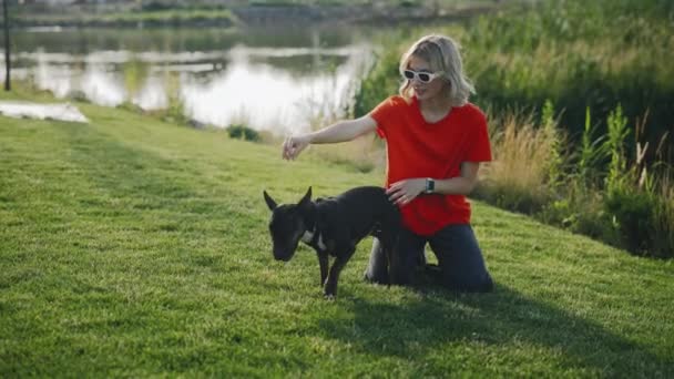 Jolie Fille Jouant Avec Mini Bull Terrier Dans Parc Entraîneur — Video