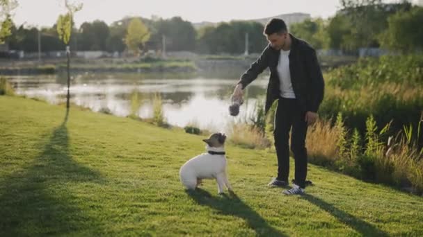 Šťastný Kavkazský Muž Majitel Hrát Jeho Brooklyn Bulldog Pomocí Hračka — Stock video
