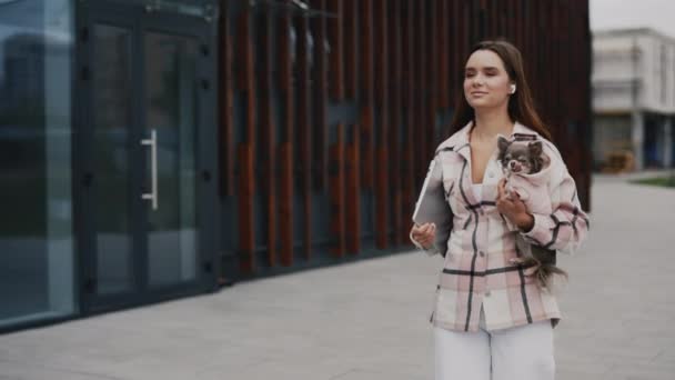Kaukasische Frau Auf Einem Spaziergang Mit Einem Kleinen Chihuahua Ihn — Stockvideo