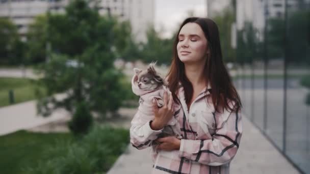 Mooie Vrouw Stadswandeling Met Een Kleine Chihuahua Handen Van Meesteres — Stockvideo