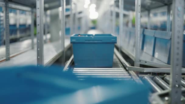 Parcelas Progresando Largo Sistema Cinta Transportadora Cajas Plástico Llenas Productos — Vídeos de Stock