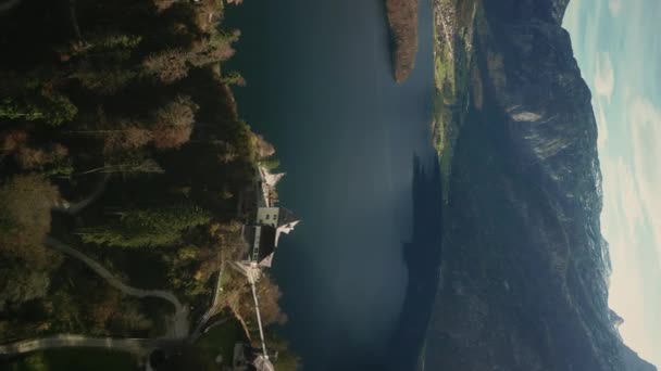 垂直录像 从奥地利著名的哈尔斯塔特市的空中拍摄到的山地背景 湖畔阿尔卑斯山中心美丽的小镇 欧洲的游客和旅行概念 — 图库视频影像