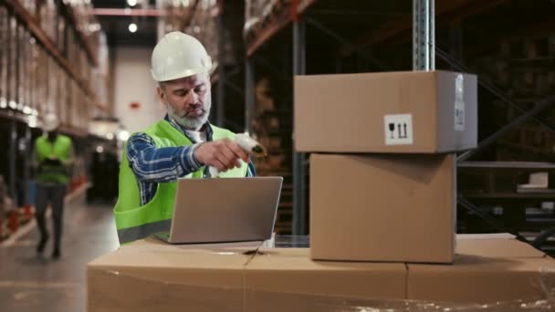 Inventory Manager Scanning Cardboard Box Barcode Scanner Recording Information Laptop — Stockvideo
