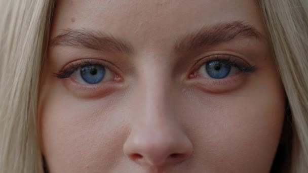 Bájos Szőke Gyönyörű Kék Szemekkel Közelkép Vonzó Lady Face Széles — Stock videók