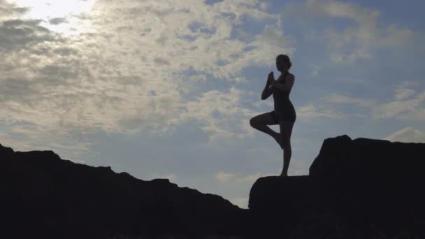 Entusiasta Yoga Dedicado Executa Dose Vrksasana Com Equilíbrio Incorporando Tranquilidade — Vídeo de Stock