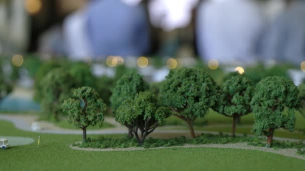 Vista Cerca Diseño Claro Con Árboles Modelo Del Complejo Bosque — Vídeos de Stock