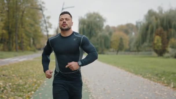 在秋季公园跑步的运动员 男子跑步者早上在公园跑步 年轻人的慢动作训练 健康的生活方式 户外运动中的有氧运动 — 图库视频影像