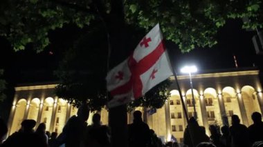 Tiflis, Gürcistan - 12 Mayıs 2024: Gürcü Bayrak Dalgası Gürcistan Parlamentosu 'nun arka planında Gece Protesto Gecesinde. Yabancı ajanlar yasasını protesto