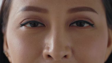 Çekici Asyalı Kadın Yüzü Kameraya Bakıyor. İş kadınının Gözlerinin Portresi. İnsanlar Konsepti